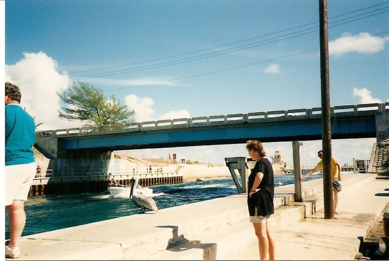 skannaa0021.jpg