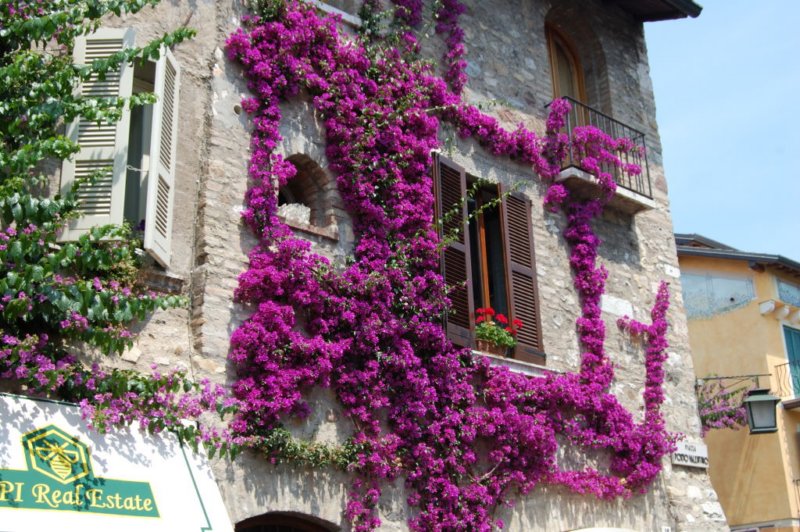photo27.jpg