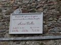 photo15.jpg