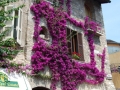 photo27.jpg