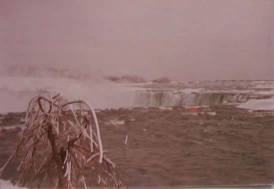 photo13.jpg