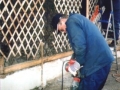 photo16.jpg