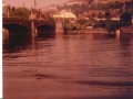 photo21.jpg