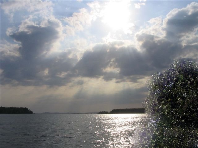 photo19.jpg