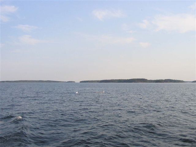 photo30.jpg