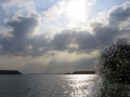 photo19.jpg
