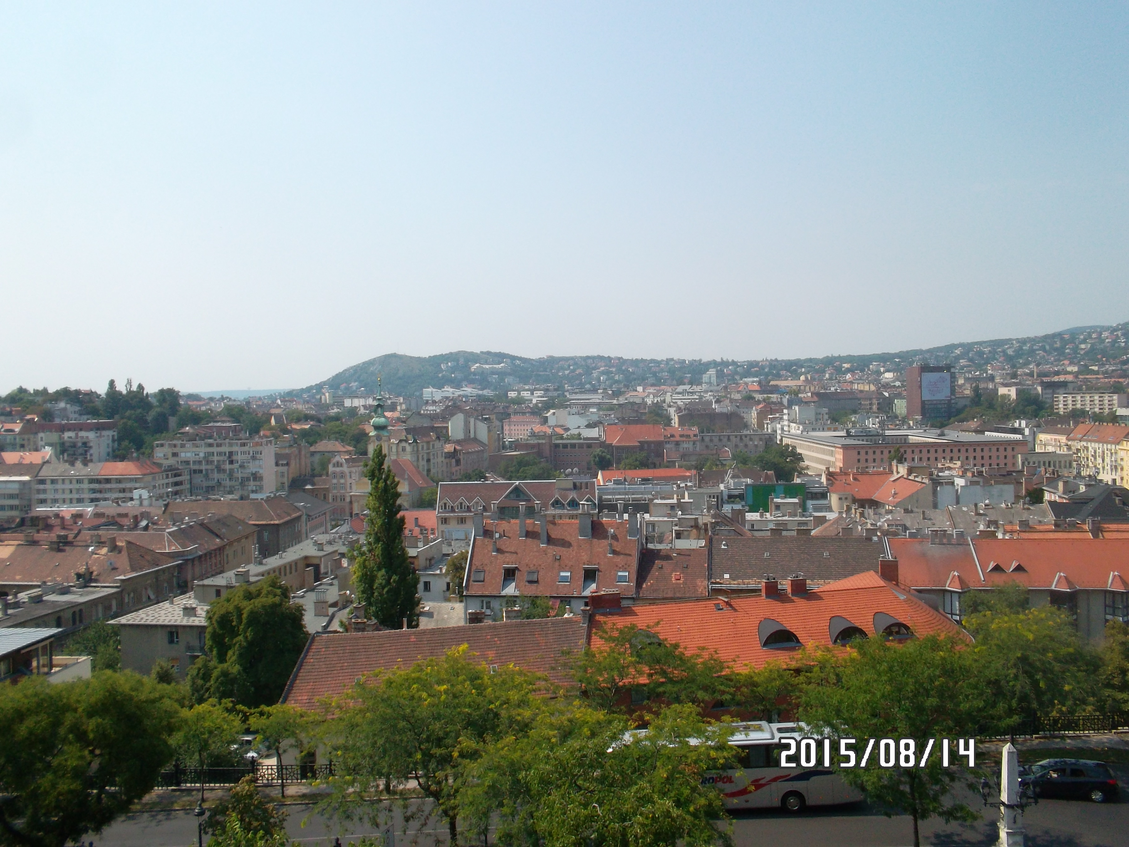 SAM_1654