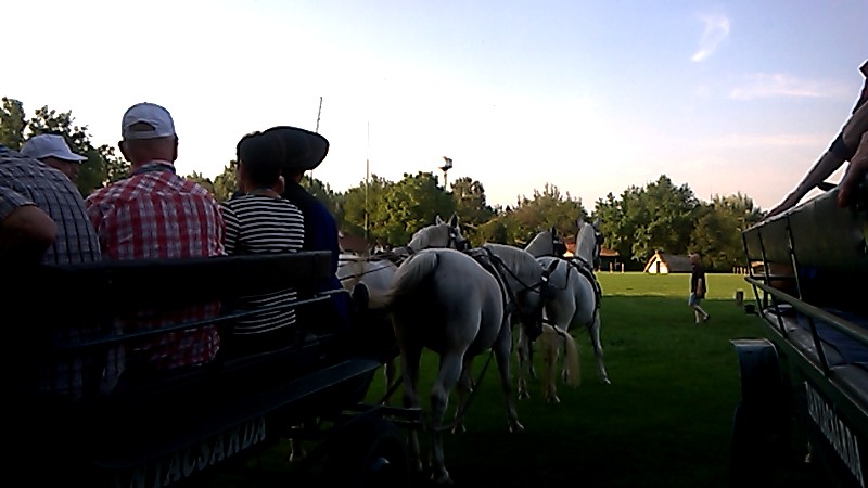 WP_20150814_007