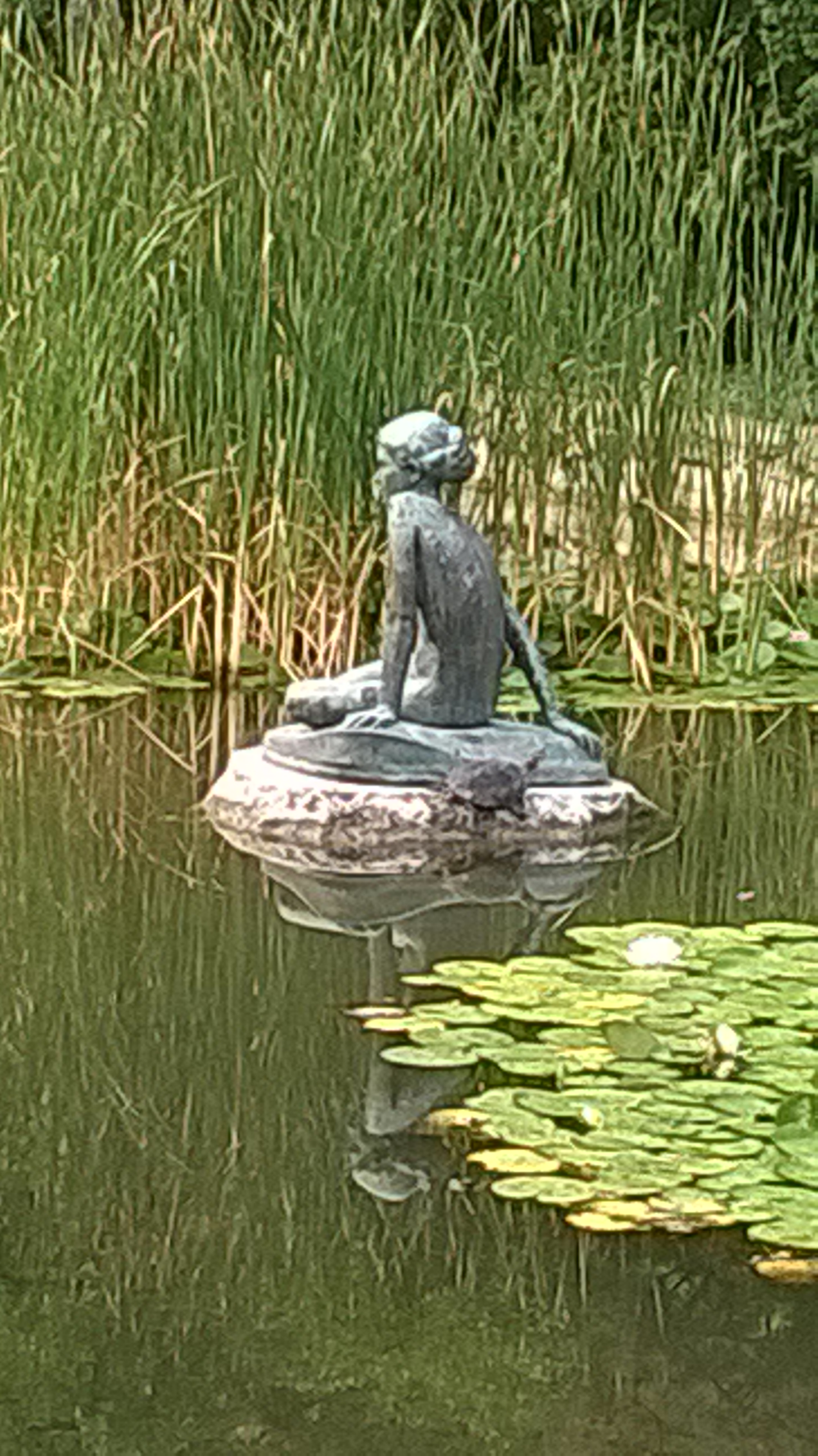 WP_20150816_005