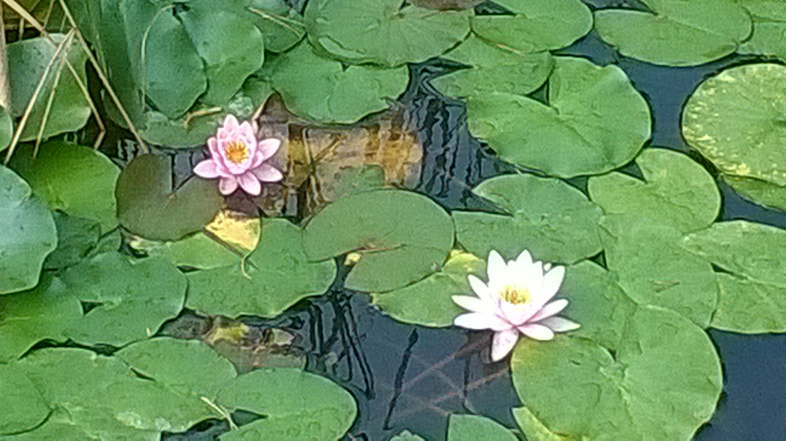 WP_20150816_006