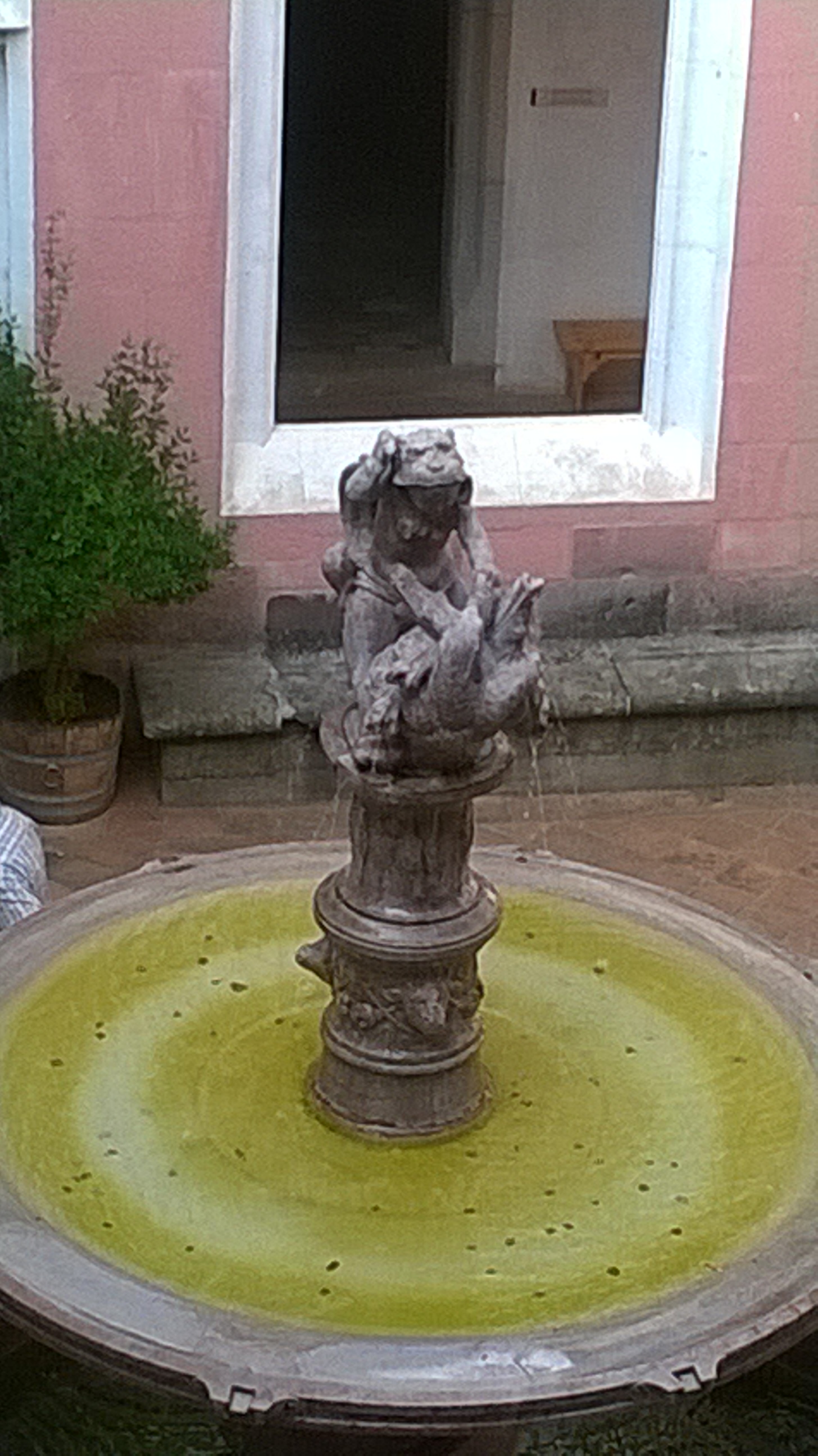 WP_20150816_021
