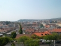 SAM_1654