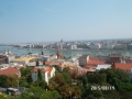 SAM_1672
