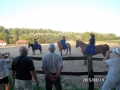 SAM_1684