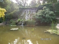 SAM_1705