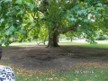 SAM_1708