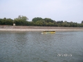 SAM_1746