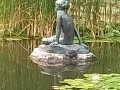 WP_20150816_005
