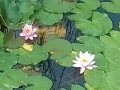 WP_20150816_006