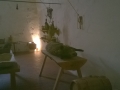 WP_20150816_025